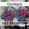 Goriagra 14